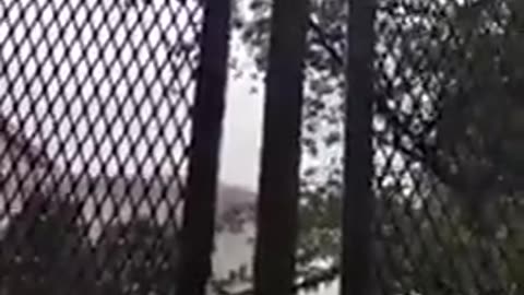 Nancy Drew FENCES AROUND THE SUPREME COURT