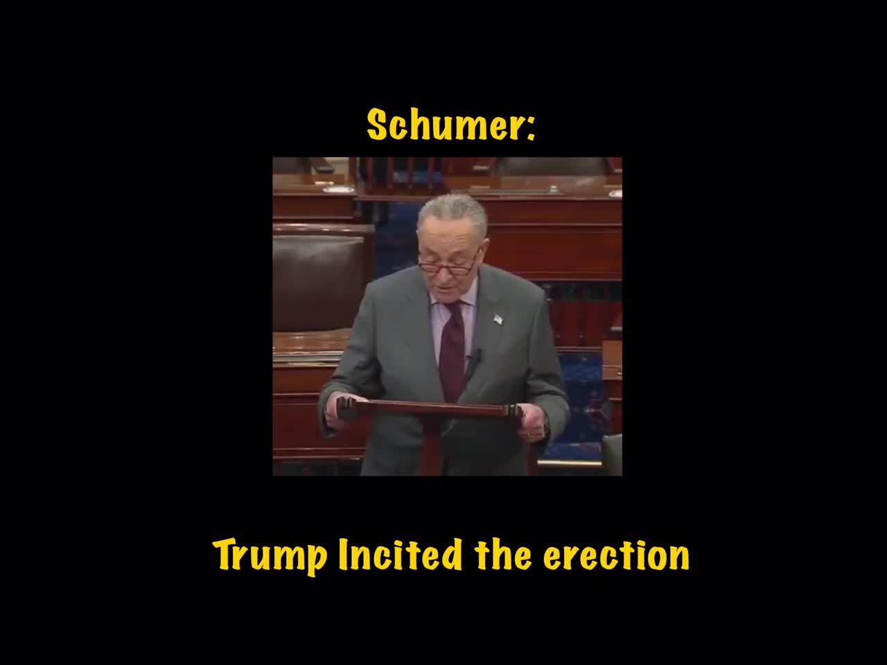 Shuckie Chumer: Trump Incited the erection