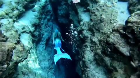 This is a beautiful and charming water-dwelling species