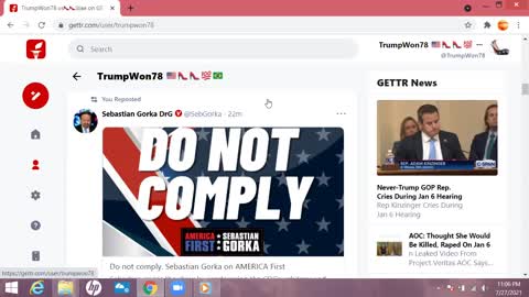 DO NOT COMPLY w/ Another Lockdown - Sebastian Gorka