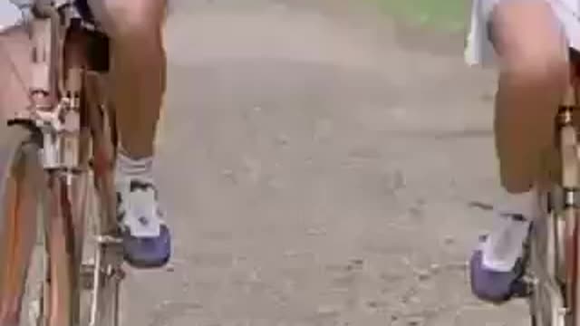 Funny videos