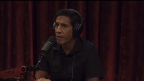 The Joe Rogan Experience.