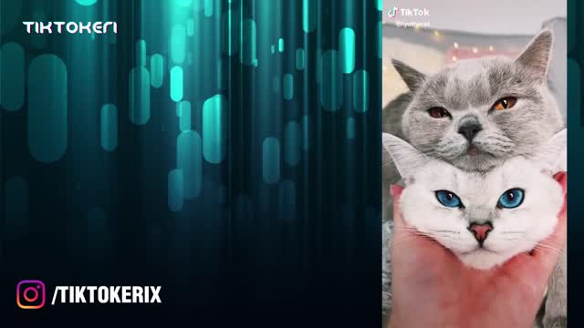 MOST SEARCHED TIKTOK SONGS COMPILATION TIKTOK TRENDING