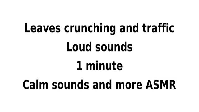 ASMR Loud leaves crunching and traffic 1 minute