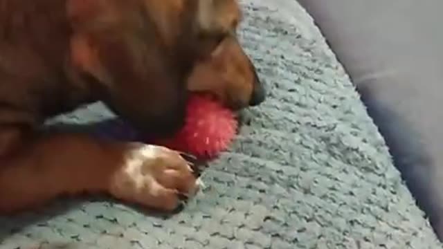 Playtime