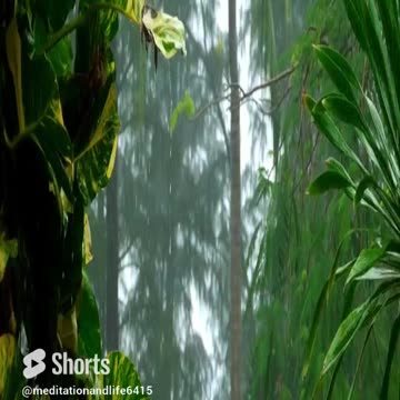 Metal Relaxation with the Rain Sounds #shorts #shorts #meditation #piano #relaxing