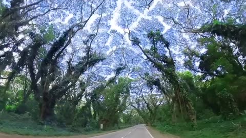 ACACIA TUNNEL , PALAWAN