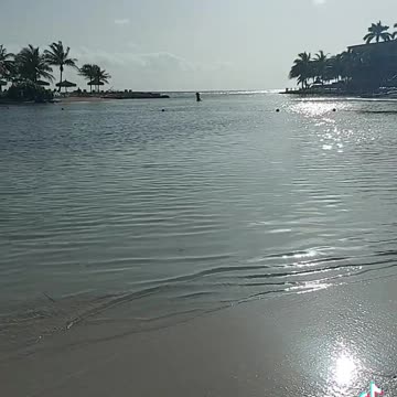 The beauty of Jamaica