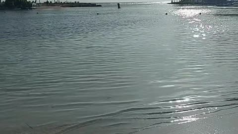 The beauty of Jamaica