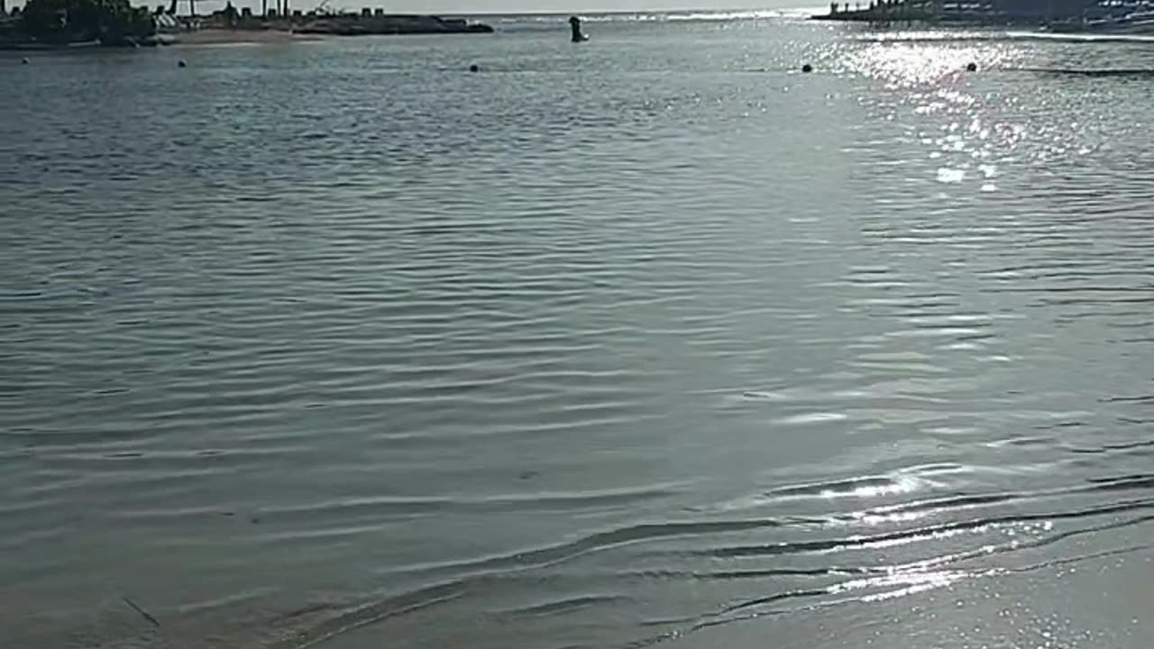 The beauty of Jamaica