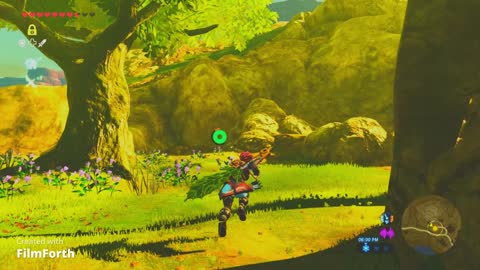 The Legend of Zelda Breath of the Wild 2022-05-13 2