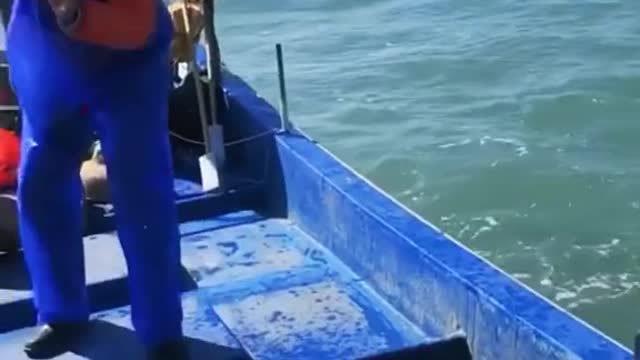 Fishing video 01