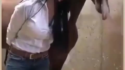 منظر رائع