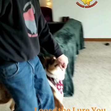 Forrest slow motion part 1