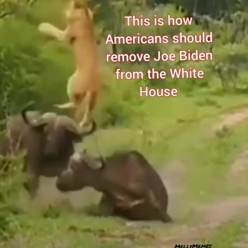 How to Remove Joe