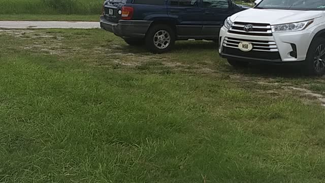 More people at Orange City Flagwave