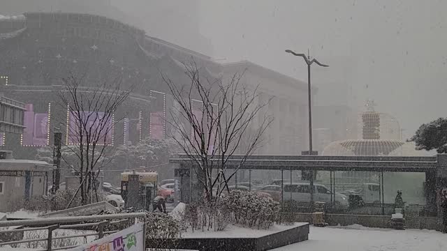 snow falling from downtown Seoul