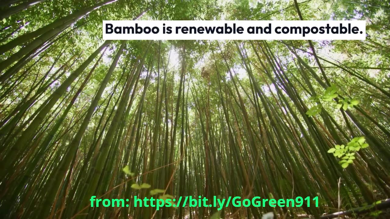 Bamboo Utensils vs. Plastic – The Ultimate Eco-Friendly Showdown!