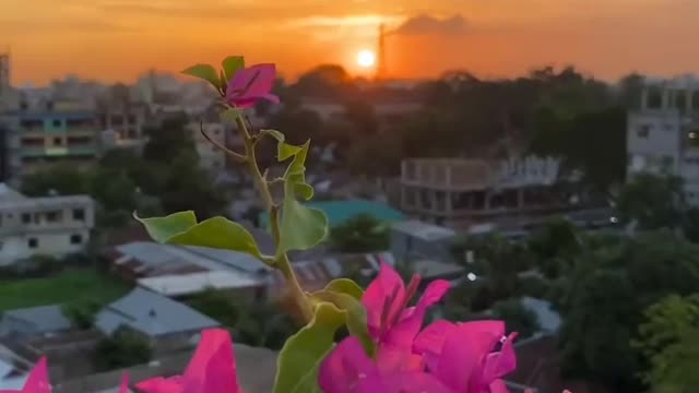Wow The view is very beautiful