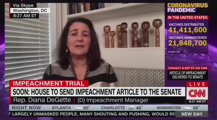 Dem Impeachment Manager Humiliates Herself on CNN