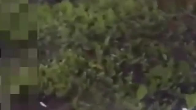 Death Is Everywhere (GRAPHIC)