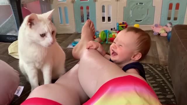 Baby Playing With Cat