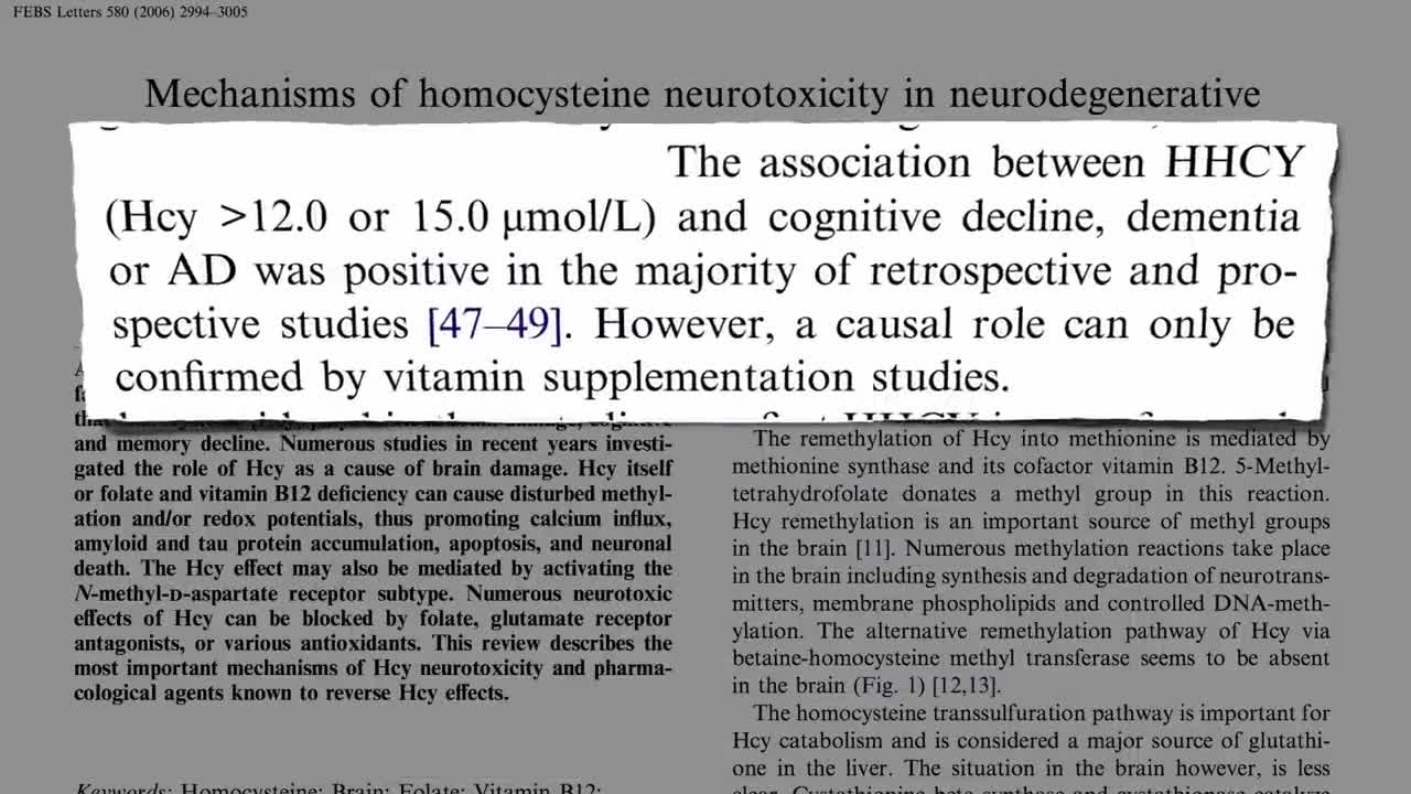 Preventing Brainloss with Vitamin D's