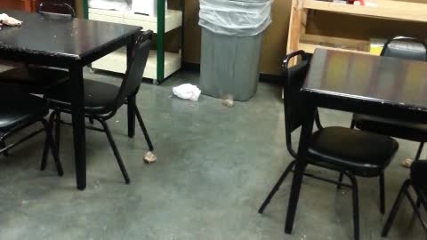 Trashcan Fail