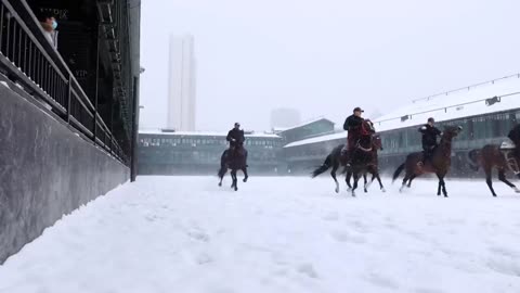 Racecourse in the snow