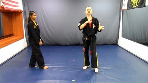 Core Skillz Yellow Belt - Red Stripe