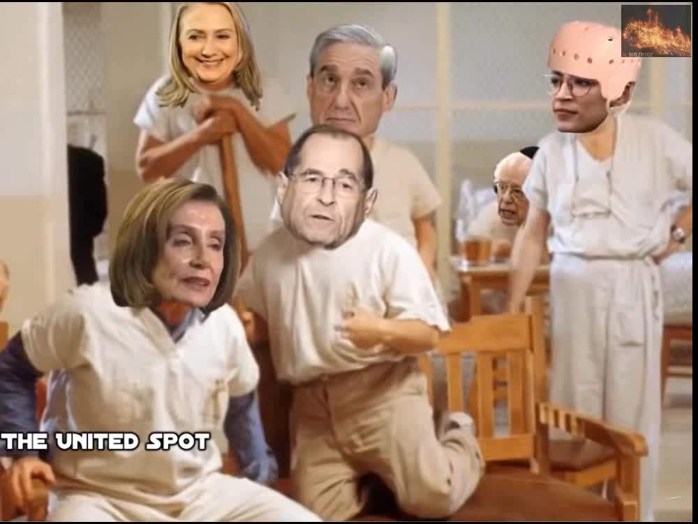 One Flew Over The Democrats Nest, trumps fault