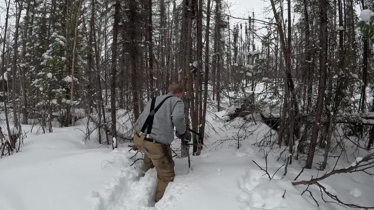 Lost in Alaska - How to NOT Freeze to Death! Winter Survival Camping & Bushcraft (No Tent or Bag)