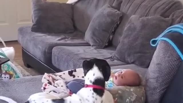 Dog calms down crying baby