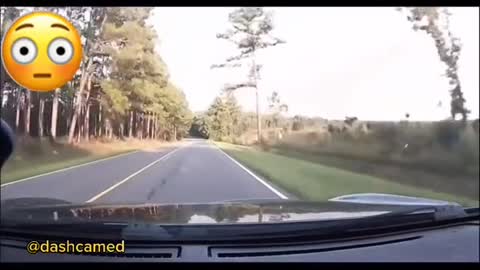 These moments make me glad that i always have a dashcam