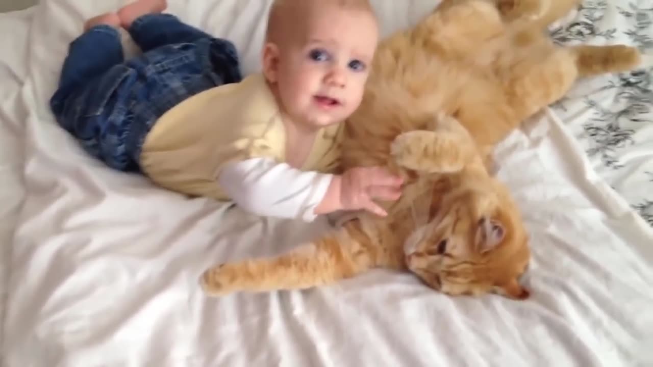 Cat and new baby romantic seen