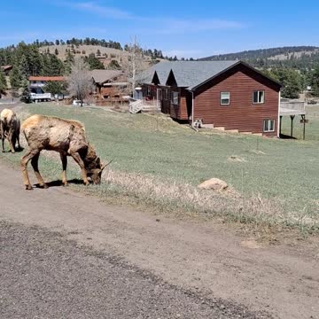 Three brothers on the move