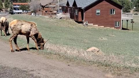 Three brothers on the move