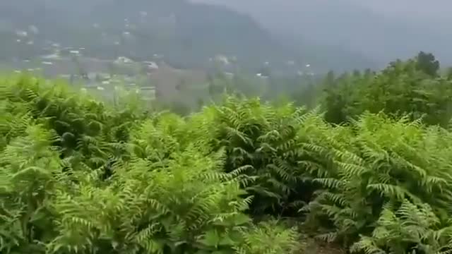 Great nature REAL FEELING
