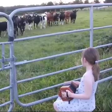 Anti-Loosh Video Number 34. LOOSH is real and bad. Explained below and watch the video!