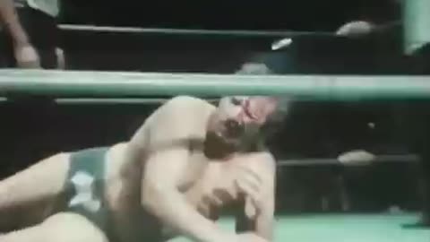 The SHEIK vs Giant Baba