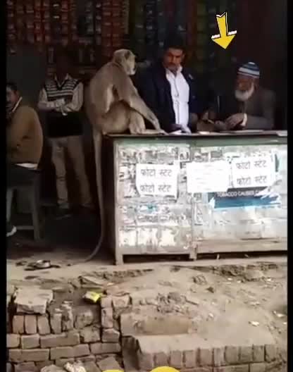 no comment 😂😂😂😂😂😂😂😂