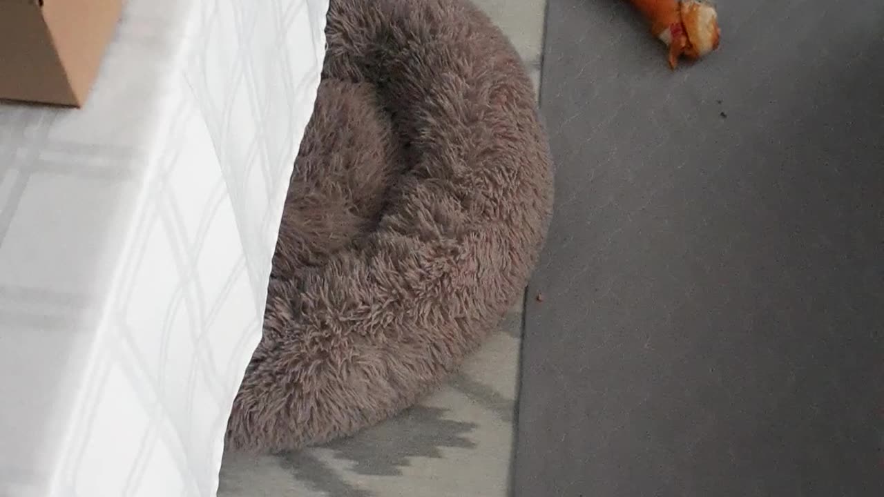 14 DAYS OF CHRISTMAS 2023 DAY 6 12/16/23