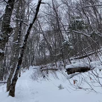 Up up and wait, just up.