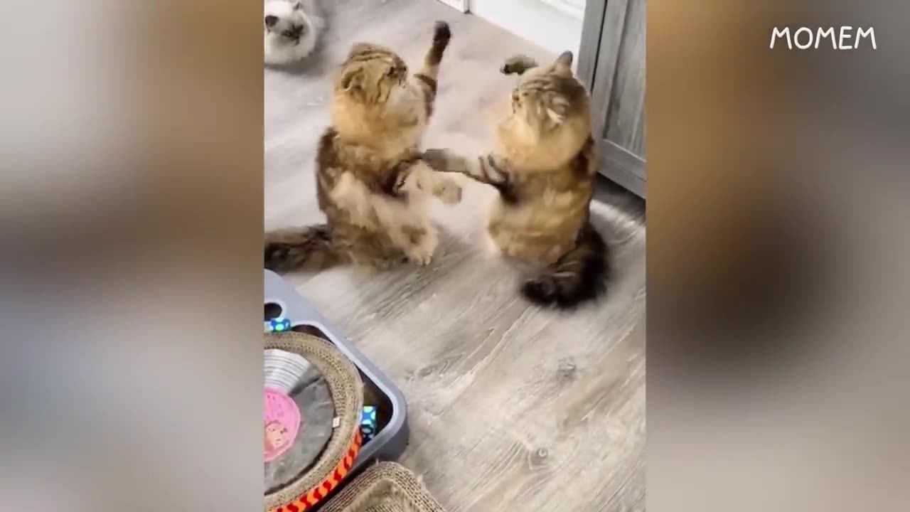 You laugh, you restart