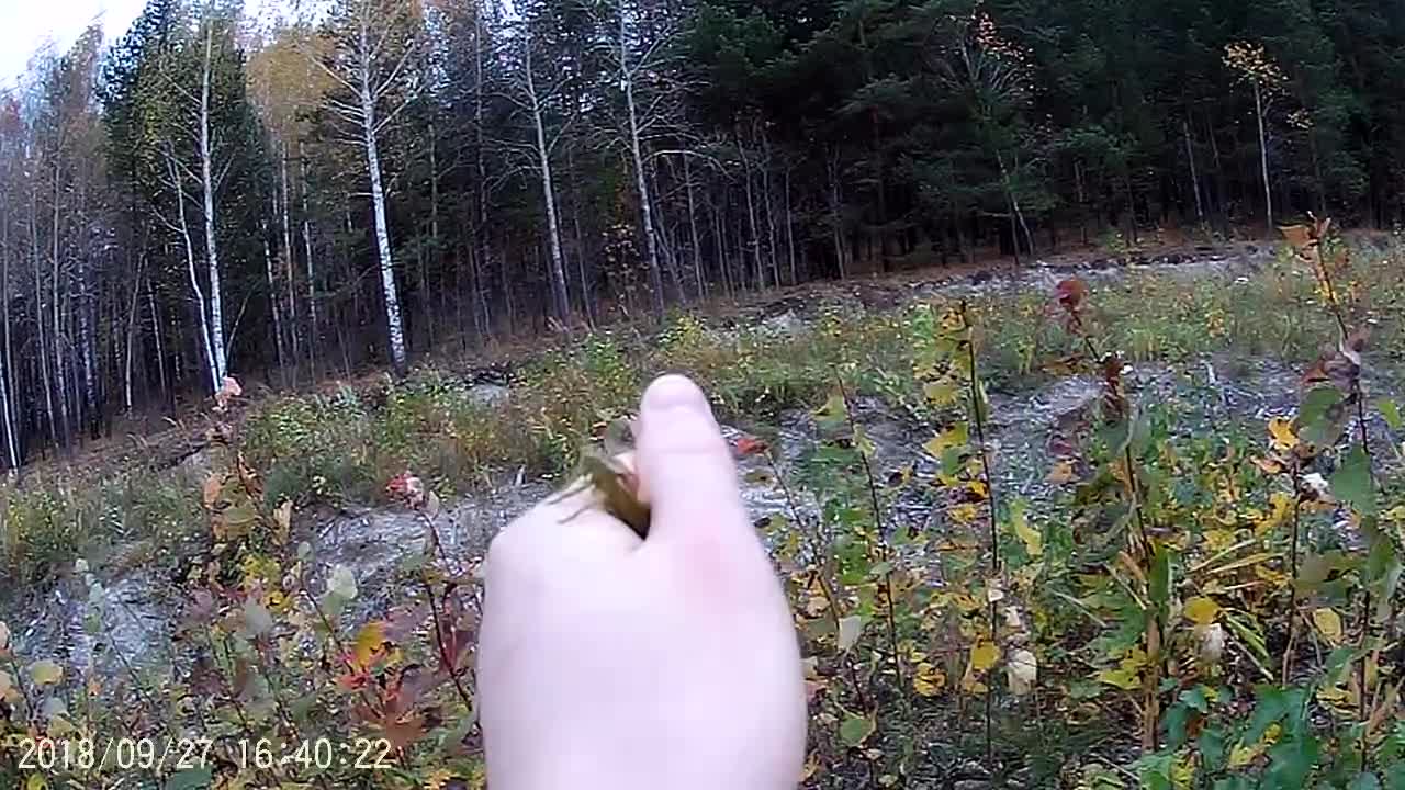 Catch a grasshopper in slow motion