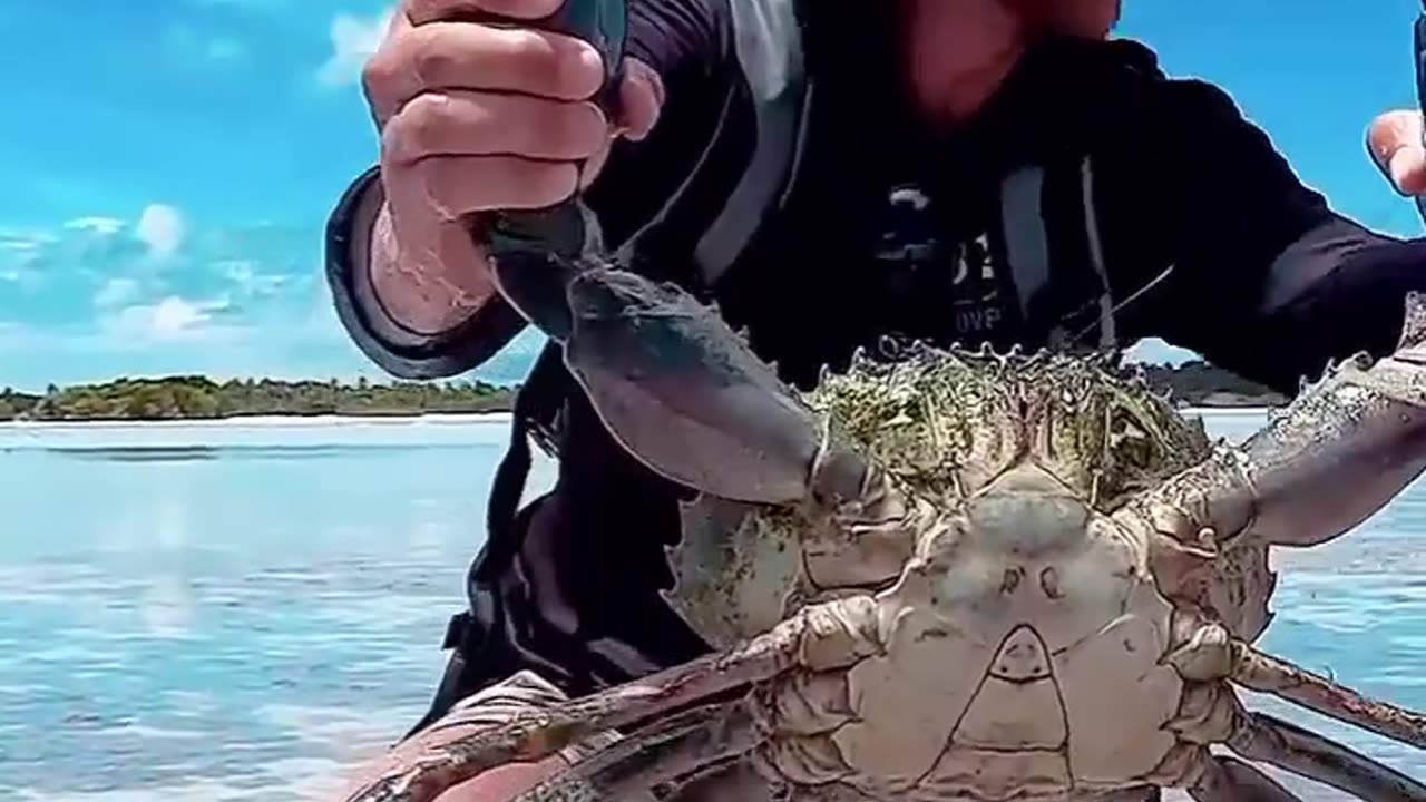mistake that was close to the fisherman's hand.😱😬