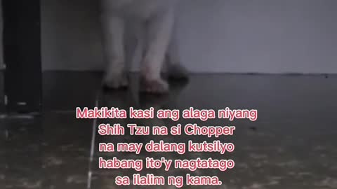 Aliw na aliw ang mga netizen savideong pinost ni Leasa isang community