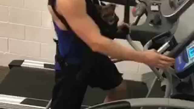 Guy Brought His Best Buddy To The Gym To Work Out Together