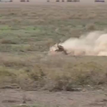 You can't run far from a cheetah