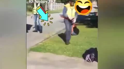 Most Viewed Youtube Funny Videos - Funny Animals, and Humans